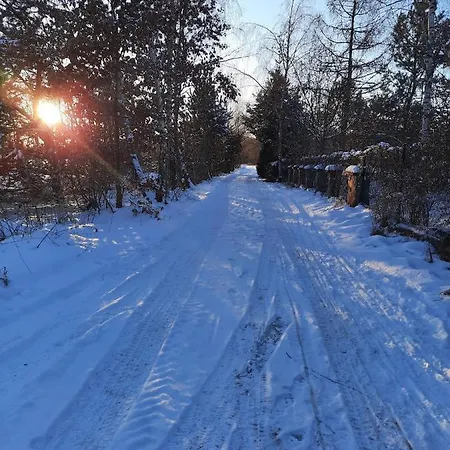 Фермерский дом Dworska Zagroda *