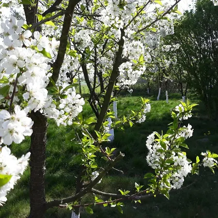 Фермерский дом Dworska Zagroda