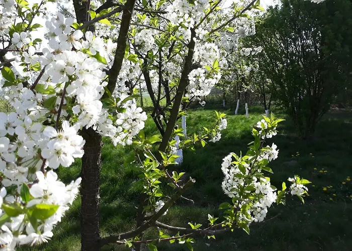 Фермерский дом Dworska Zagroda